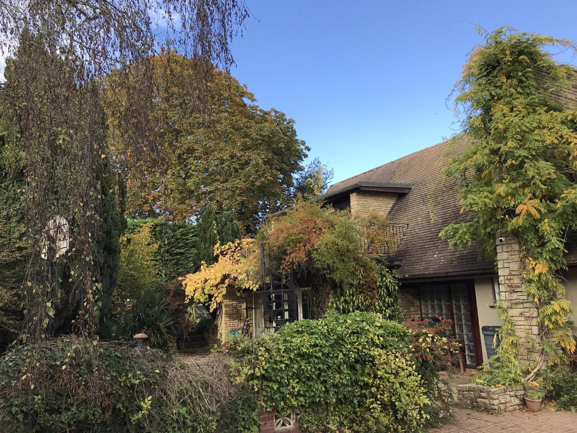 Sandford Meadow Guest House Kennington  Eksteriør billede